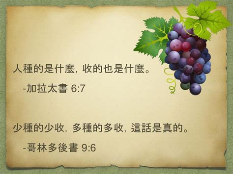 種什麼收什麼|加拉太書 6:6